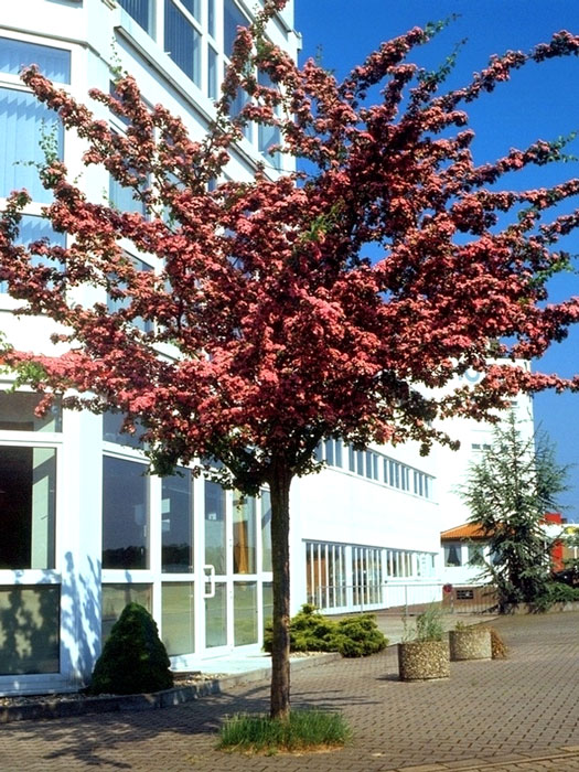 Strom sparen am arbeitsplatz strom anmelden wie lange zeit