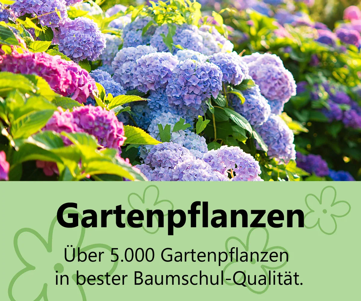 Unser Gartenpflanzen-Sortiment