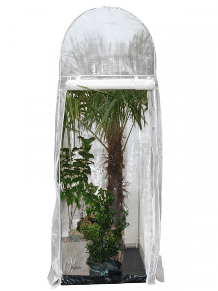 Frost-Schutzhaus PALM-PROTECT (Art.Nr. V29891) Frost-Schutzhaus PALM-PROTECT (Art.Nr. V29891)