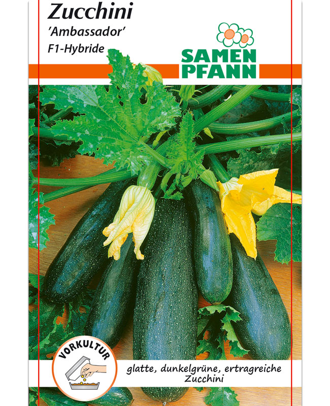 zucchini-ambassador Zucchini 'Ambassador' F1-Hybride (Art.Nr. G509)