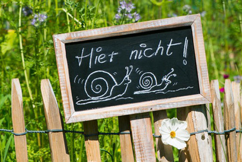 Ein Schild auf dem Hier Nicht steht und Schnecken zu sehen sind