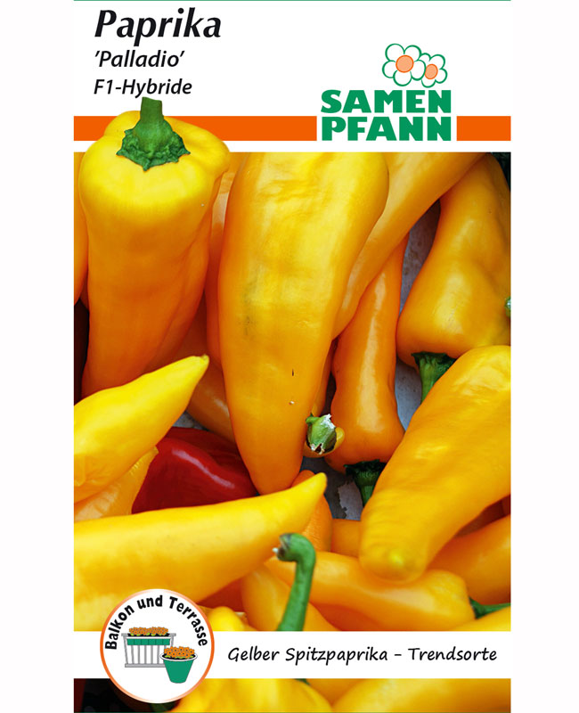 paprika-palladio Spitzpaprika 'Palladio' - F1-Hybride (Art.Nr. G580)