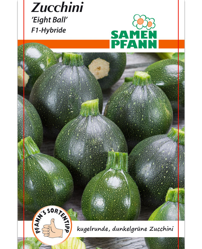 zucchini-eight-ball Zucchini 'Eight Ball F1' (Art.Nr. G501)