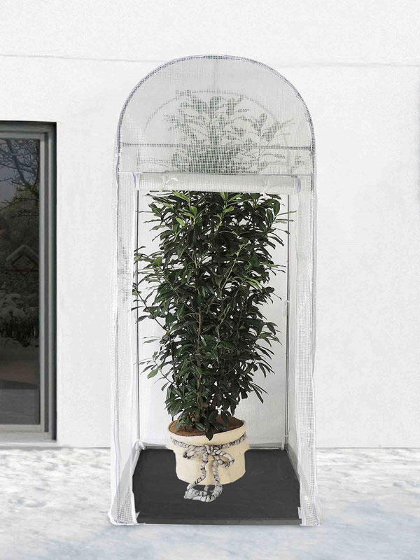 Frost-Schutzhaus PALM-PROTECT (Art.Nr. V29891) Frost-Schutzhaus PALM-PROTECT (Art.Nr. V29891)