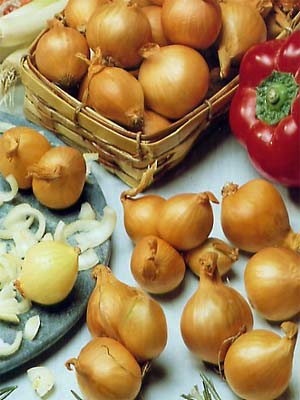 golden_gourmet Golden Gourmet (Art.Nr. 580305)