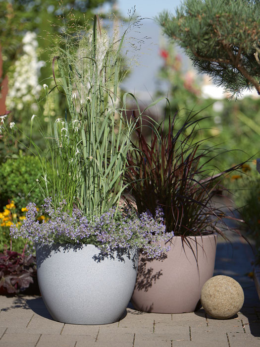 pflanzkuebel-rimini-stimmun Pflanzkübel Rimini bepflanzt