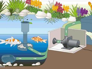 Positionierung einer Teichpumpe