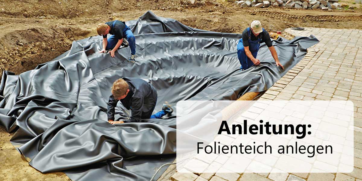 Anleitung: Folienteich anlegen