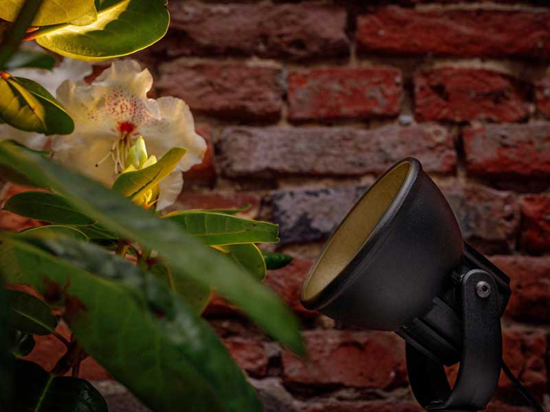 Spotstrahler Raf im Einsatz Spotstrahler Raf beleuchtet eine Bluete vor einer Steinwand