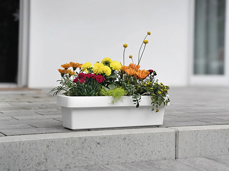 Blumenkasten Viva mit 60cm Groesse bepflanzt auf einer Stufe