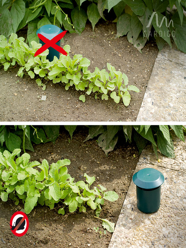 Anwendung der Bio-Schneckenfalle Beispielbild zur Anwendung der Bio-Schneckenfalle