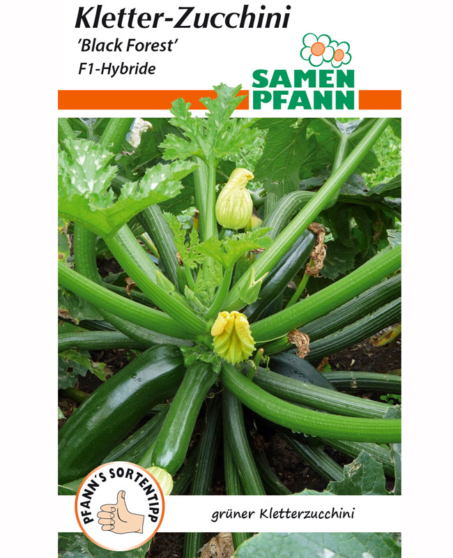 zucchini-black-forest