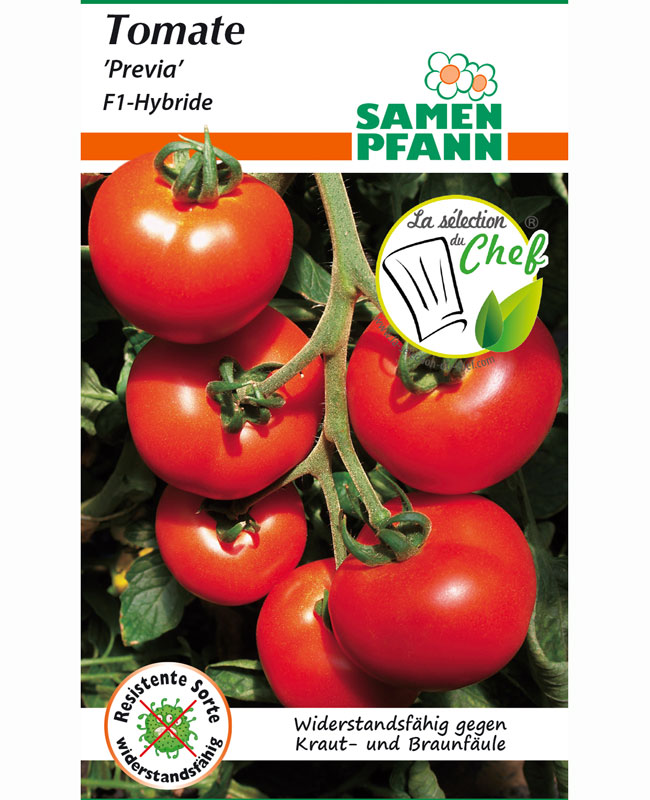 tomate-previa Tomate 'Previa' - F1-Hybride (Art.Nr. G891)