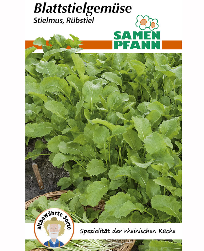 stielmus-namenia Stielmus 'Namenia' (Art.Nr. G685)