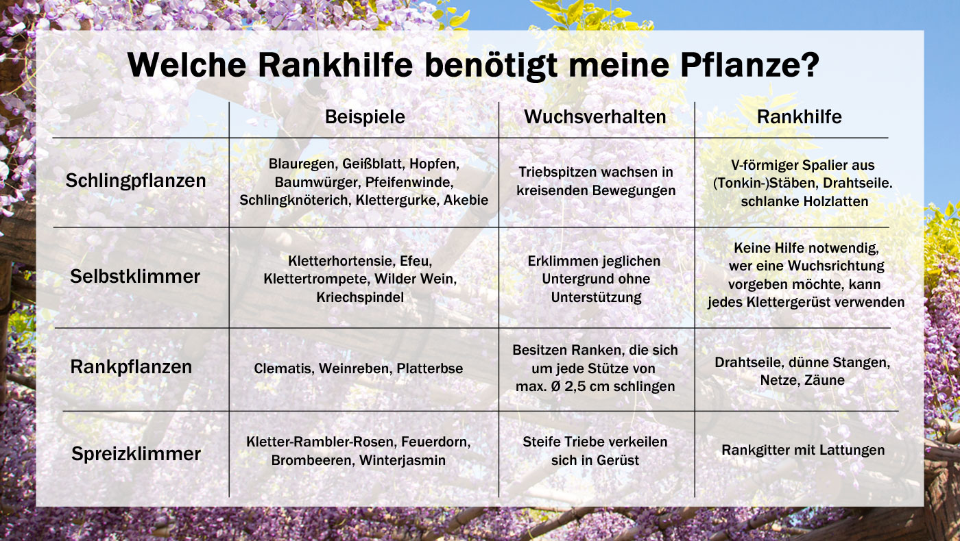 Uebersichtstabelle welche Kletterpflanze welche Rankhilfen benoetigt