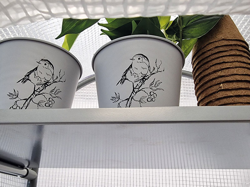 Frost-Schutzhaus SNOW (Art.Nr. V29933) Frost-Schutzhaus SNOW (Art.Nr. V29933)