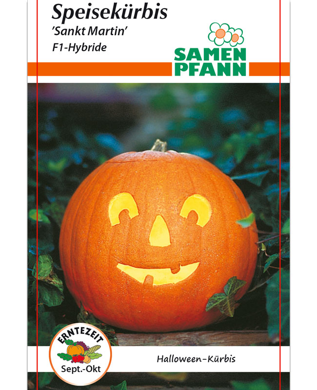 kuerbis-sankt-martin Halloween-Kürbis 'Sankt Martin' - F1-Hybride (Art.Nr. G511)