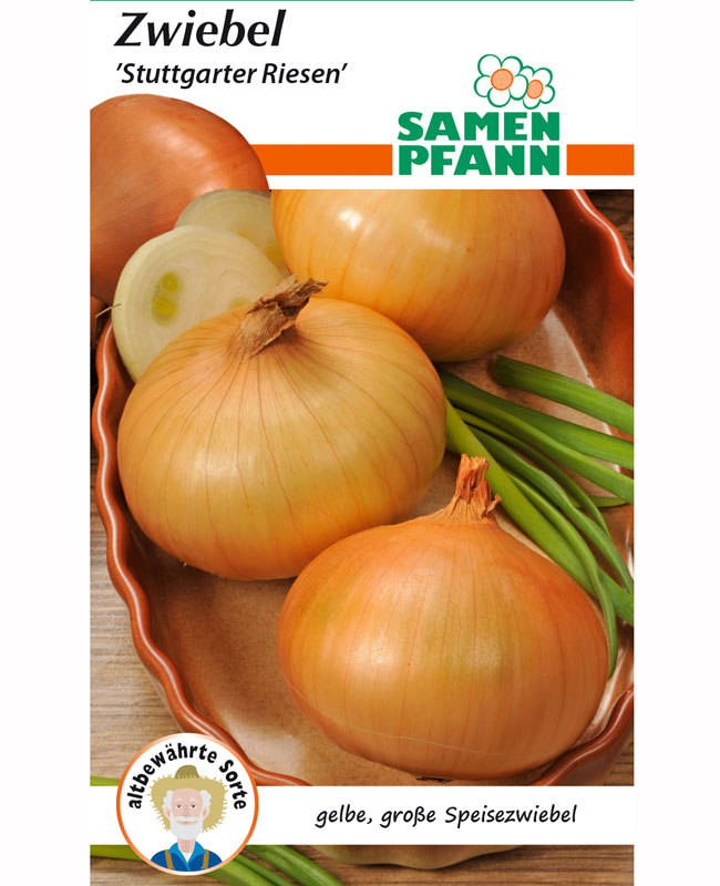 zwiebel-stuttgarter-riesen Zwiebel 'Stuttgarter Riesen' (G910)