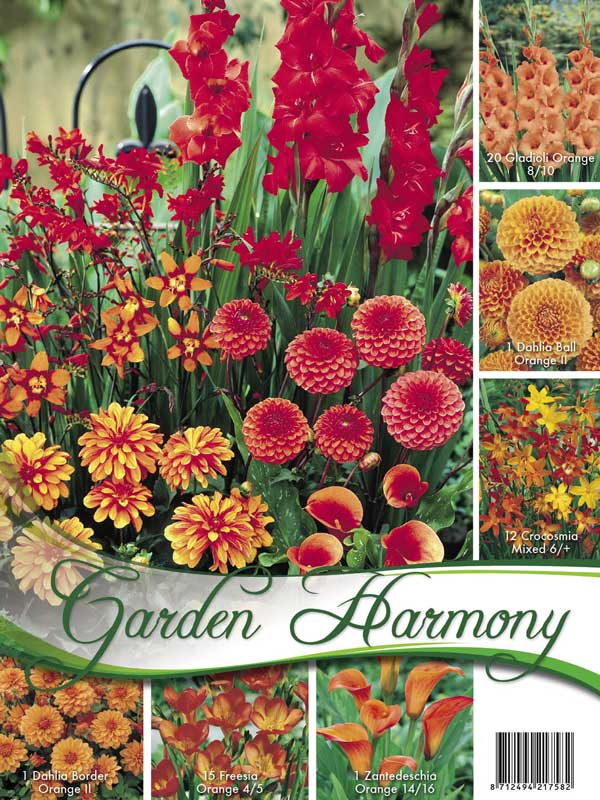 Garden Harmony Sortiment oranger Garten