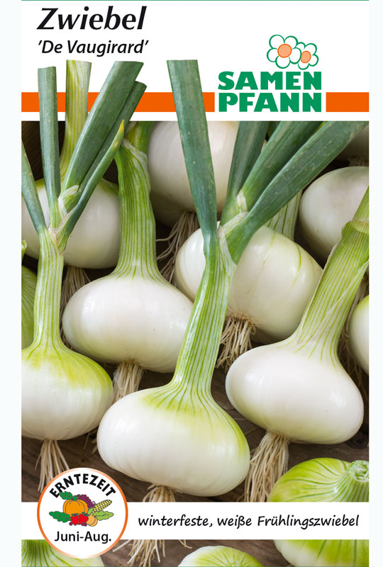 zwiebel-vaugirard Weiße Frühlingszwiebel 'De Vaugirard' (Art.Nr. G913)