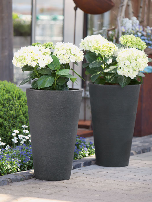 pflanzkuebel-lugano-stimmun Pflanzkübel Lugano bepflanzt