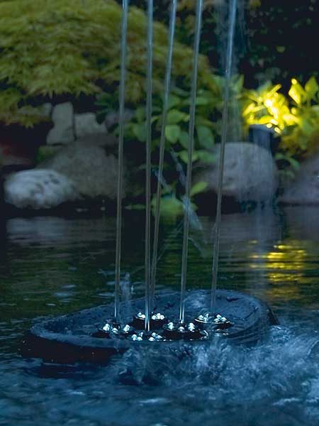 water_starlet_2