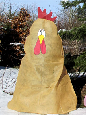 vlieshaube_hahn_2_80514_1