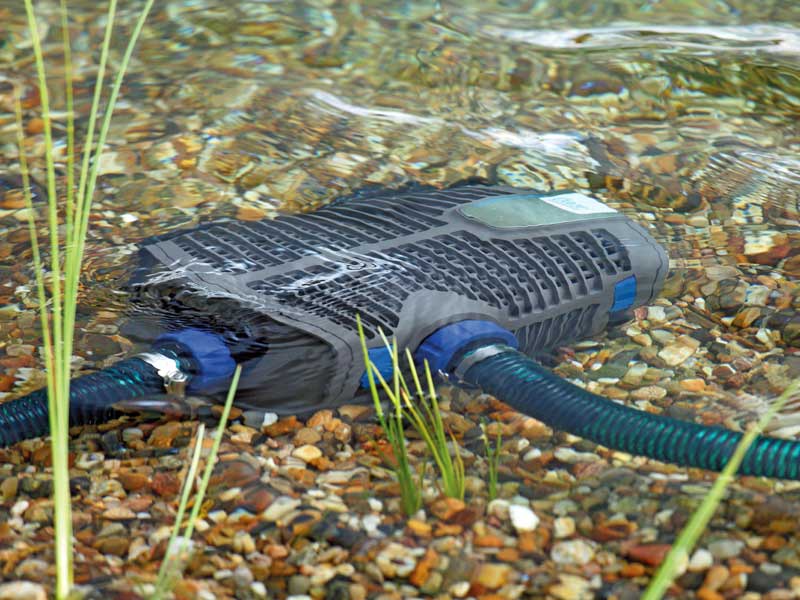 AquaMax Eco Premium in Betrieb im Teich