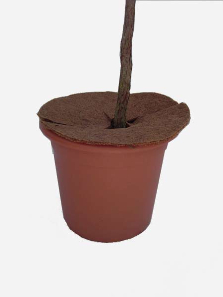 kokosmatte_j1_76969_0 Kokos-Isolierscheiben