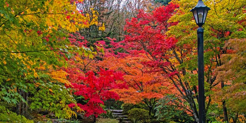Indian Summer