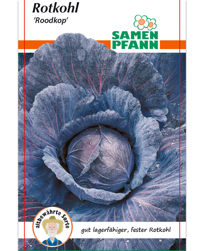 rotkohl-roodkop Rotkohl 'Roodkop' (Art.Nr. G390)