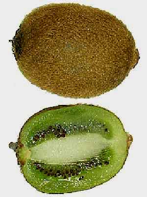 kiwi_k Kiwi mit Fruchtfleisch