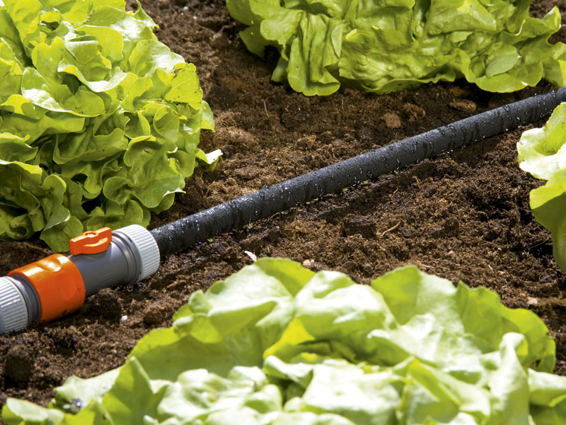 perl-regner-2 GARDENA Perl-Regner im Einsatz