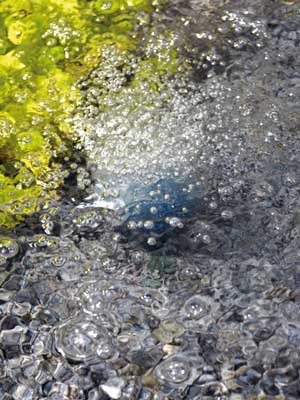 aquaoxy_240_2_77597_1