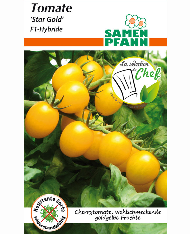 tomate-star-gold Tomate 'Star Gold' - F1-Hybride (Art.Nr. G894)