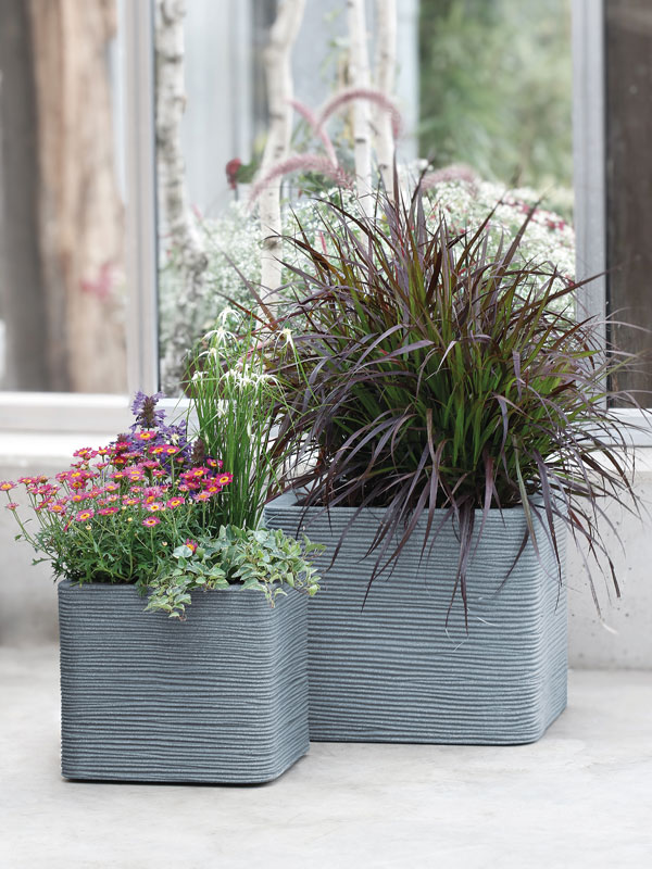 Pflanzkuebel Kubus Rillentopf bepflanzt