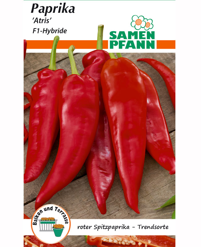 paprika-atris Spitzpaprika 'Atris' - F1-Hybride (Art.Nr. G581)