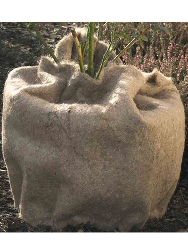 Schutzdecke aus Jute als Winterschutz an einer Gartenpflanze
