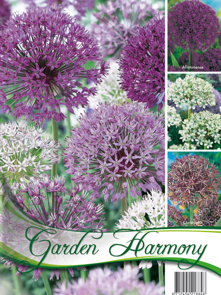 kollektion_allium_82282_0 Kollektion Allium (Art.Nr. 598218)