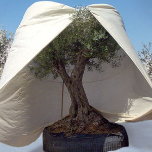 XXL-Vlieshaube-Winterschutz