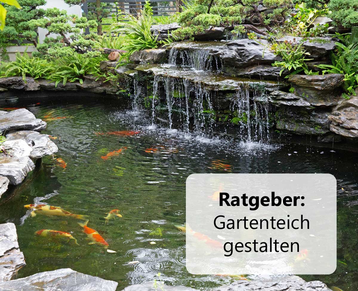 Ratgeber: Gartenteich gestalten