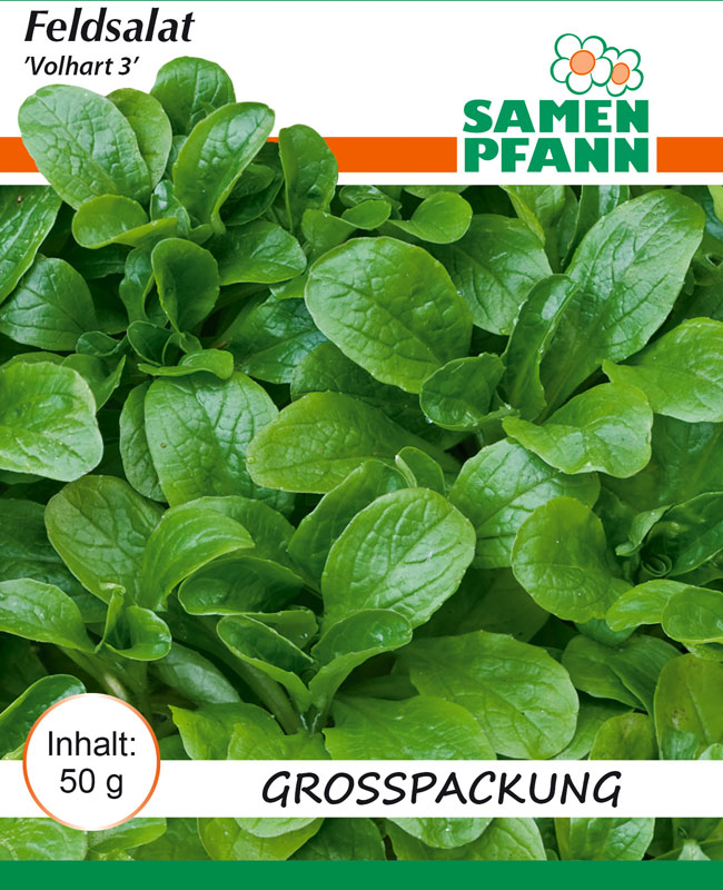 feldsalat-volhart3 Feldsalat 'Volhart 3' (G640)