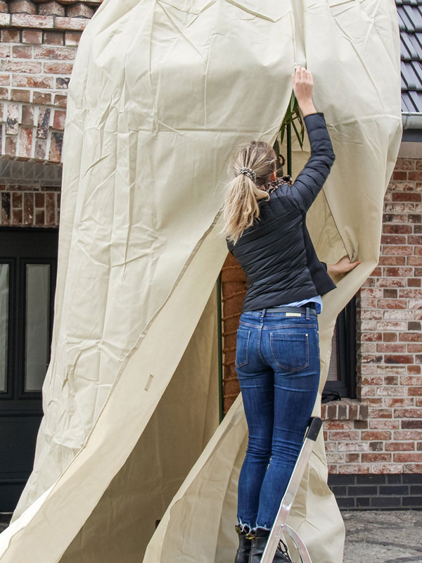 Palmen_Vlieshaube-1 Winterschutz Palmen-Vlieshaube (Art.Nr. Vi29597)