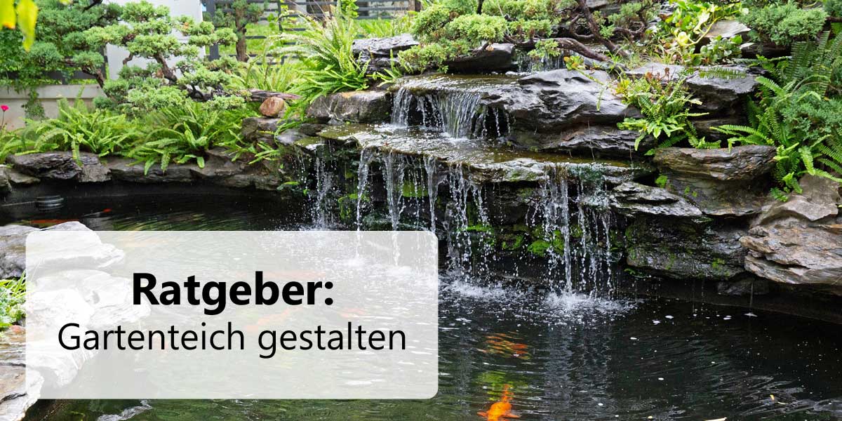 Ratgeber: Gartenteich gestalten