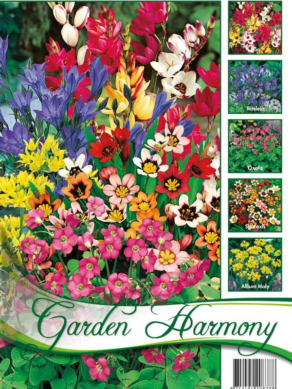 Garden Harmony Sortiment zum Verwildern