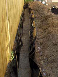 rhizomsperre_shop_46261_0