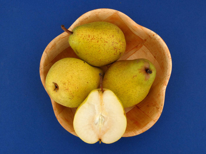 pyrus-alexander-lucas Korb mit Alexander Lucas Birnen