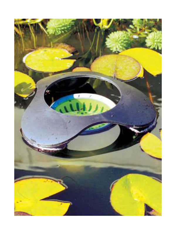 Pond Skimmer auf einem Seerosenteich