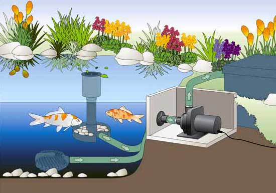 Teichpumpe AquaMax Dry trocken aufgestellt