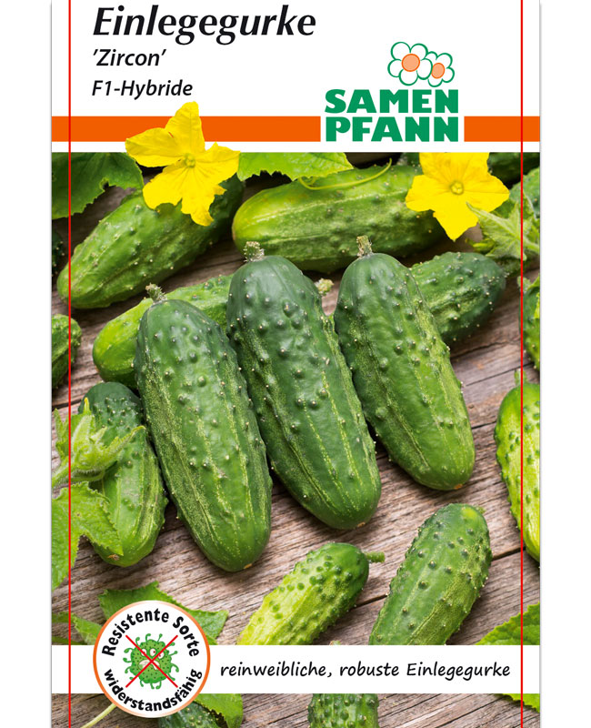 einlegegurke-zircon